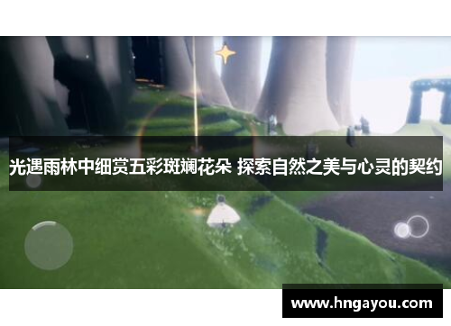 光遇雨林中细赏五彩斑斓花朵 探索自然之美与心灵的契约