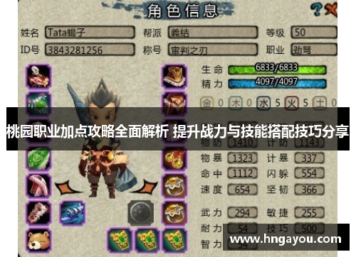 桃园职业加点攻略全面解析 提升战力与技能搭配技巧分享